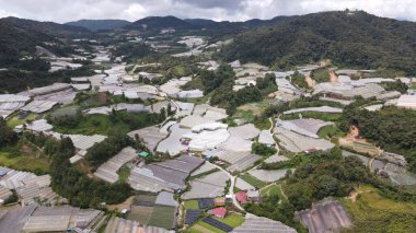 Cameron Highlands, Pahang Malezya 30 Mayıs 2022: Malezya 'nın Cameron Highlands Alanı içindeki Brinchang Bölgesinin Genel Manzarası