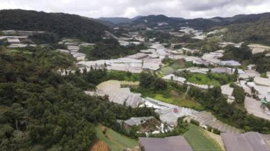 Cameron Highlands, Pahang Malezya 30 Mayıs 2022: Malezya 'nın Cameron Highlands Alanı içindeki Brinchang Bölgesinin Genel Manzarası