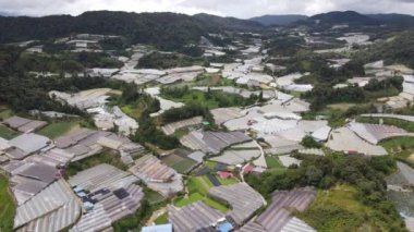 Cameron Highlands, Pahang Malezya 30 Mayıs 2022: Malezya 'nın Cameron Highlands Alanı içindeki Brinchang Bölgesinin Genel Manzarası