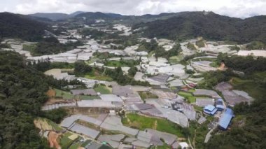 Cameron Highlands, Pahang Malezya 30 Mayıs 2022: Malezya 'nın Cameron Highlands Alanı içindeki Brinchang Bölgesinin Genel Manzarası