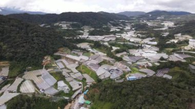 Cameron Highlands, Pahang Malezya 30 Mayıs 2022: Malezya 'nın Cameron Highlands Alanı içindeki Brinchang Bölgesinin Genel Manzarası