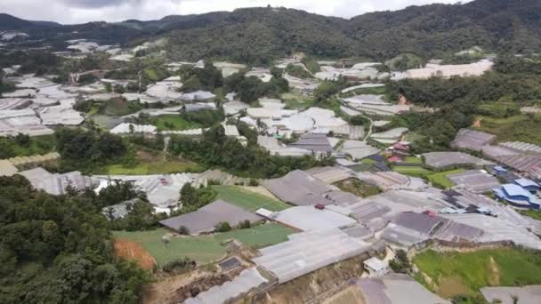 Cameron Highlands Pahang Malajsie Května 2022 Celkový Pohled Krajinu Oblasti — Stock video