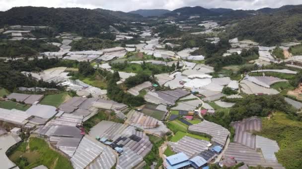 Cameron Highlands Pahang Malaysia 2022 General Landscape View Brinchang District — 비디오