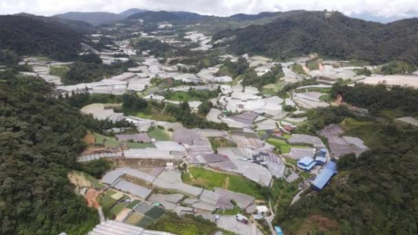 Cameron Highlands Pahang Malaysia Mai 2022 Allgemeiner Landschaftsblick Auf Den — Stockvideo