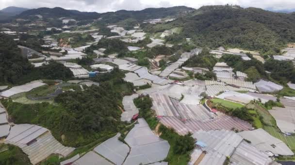 Cameron Highlands Pahang Malezja Maja 2022 Ogólny Widok Krajobraz Dystryktu — Wideo stockowe