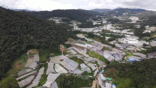 Cameron Highlands Pahang Malásia Maio 2022 Vista Geral Paisagem Distrito — Vídeo de Stock