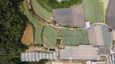 Cameron Highlands, Pahang Malezya 30 Mayıs 2022: Malezya 'nın Cameron Highlands Alanı içindeki Brinchang Bölgesinin Genel Manzarası