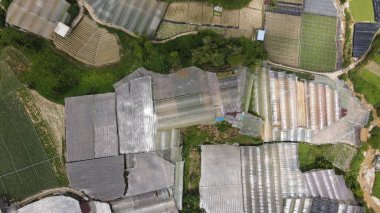 Cameron Highlands, Pahang Malezya 30 Mayıs 2022: Malezya 'nın Cameron Highlands Alanı içindeki Brinchang Bölgesinin Genel Manzarası