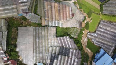 Cameron Highlands, Pahang Malezya 30 Mayıs 2022: Malezya 'nın Cameron Highlands Alanı içindeki Brinchang Bölgesinin Genel Manzarası