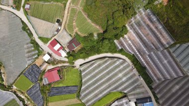 Cameron Highlands, Pahang Malezya 30 Mayıs 2022: Malezya 'nın Cameron Highlands Alanı içindeki Brinchang Bölgesinin Genel Manzarası