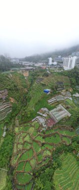 Cameron Highlands, Pahang Malezya 30 Mayıs 2022: Malezya 'nın Cameron Highlands Alanı içindeki Brinchang Bölgesinin Genel Manzarası
