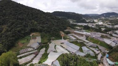 Cameron Highlands, Pahang Malezya 30 Mayıs 2022: Malezya 'nın Cameron Highlands Alanı içindeki Brinchang Bölgesinin Genel Manzarası