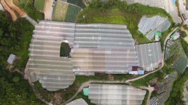 Cameron Highlands, Pahang Malezya 30 Mayıs 2022: Malezya 'nın Cameron Highlands Alanı içindeki Brinchang Bölgesinin Genel Manzarası