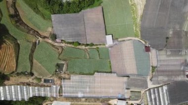 Cameron Highlands, Pahang Malezya 30 Mayıs 2022: Malezya 'nın Cameron Highlands Alanı içindeki Brinchang Bölgesinin Genel Manzarası