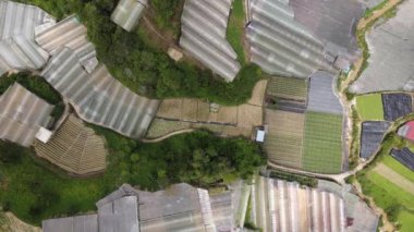 Cameron Highlands, Pahang Malezya 30 Mayıs 2022: Malezya 'nın Cameron Highlands Alanı içindeki Brinchang Bölgesinin Genel Manzarası