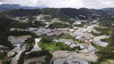 Cameron Highlands, Pahang Malezya 30 Mayıs 2022: Malezya 'nın Cameron Highlands Alanı içindeki Brinchang Bölgesinin Genel Manzarası