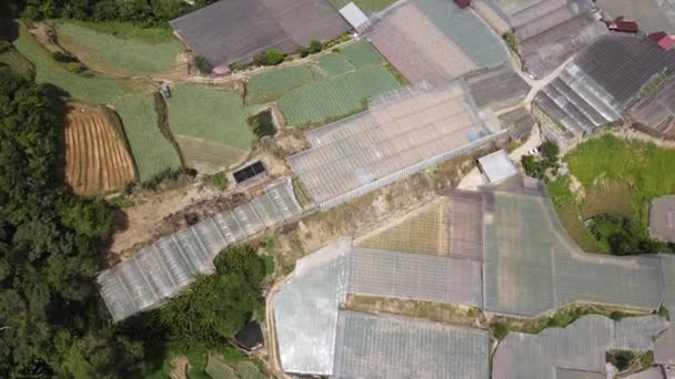 Cameron Highlands Pahang Malaysia 2022 General Landscape View Brinchang District — 비디오