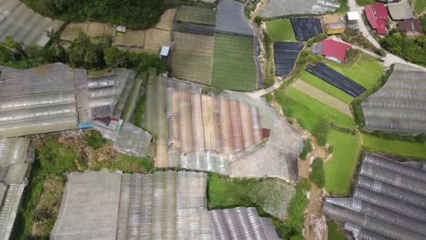 Cameron Highlands Pahang Malajsie Května 2022 Celkový Pohled Krajinu Oblasti — Stock video