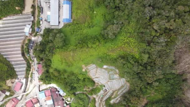 2022年5月30日马来西亚彭亨市卡梅隆高地 马来西亚卡梅隆高地地区布林昌区的景观概览 — 图库视频影像