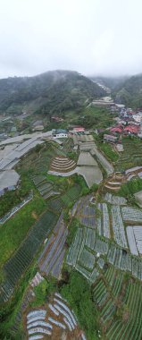Cameron Highlands, Pahang Malezya 30 Mayıs 2022: Malezya 'nın Cameron Highlands Alanı içindeki Brinchang Bölgesinin Genel Manzarası
