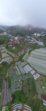 Cameron Highlands, Pahang Malezya 30 Mayıs 2022: Malezya 'nın Cameron Highlands Alanı içindeki Brinchang Bölgesinin Genel Manzarası