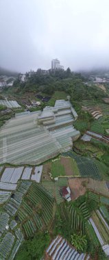 Cameron Highlands, Pahang Malezya 30 Mayıs 2022: Malezya 'nın Cameron Highlands Alanı içindeki Brinchang Bölgesinin Genel Manzarası