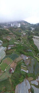 Cameron Highlands, Pahang Malezya 30 Mayıs 2022: Malezya 'nın Cameron Highlands Alanı içindeki Brinchang Bölgesinin Genel Manzarası