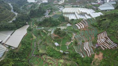 Cameron Highlands, Pahang Malezya 30 Mayıs 2022: Malezya 'nın Cameron Highlands Alanı içindeki Brinchang Bölgesinin Genel Manzarası