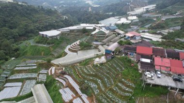 Cameron Highlands, Pahang Malezya 30 Mayıs 2022: Malezya 'nın Cameron Highlands Alanı içindeki Brinchang Bölgesinin Genel Manzarası