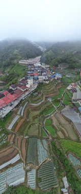 Cameron Highlands, Pahang Malezya 30 Mayıs 2022: Malezya 'nın Cameron Highlands Alanı içindeki Brinchang Bölgesinin Genel Manzarası