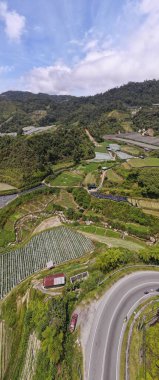 Cameron Highlands, Pahang Malezya 30 Mayıs 2022: Malezya 'nın Cameron Highlands Alanı içindeki Brinchang Bölgesinin Genel Manzarası
