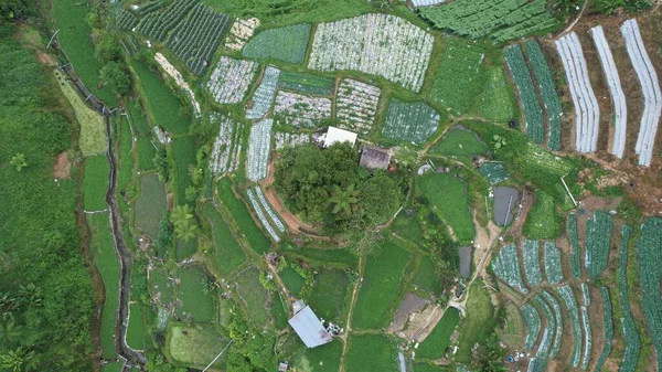 Cameron Highlands Pahang Malaysia Mei 2022 General Landscape View Brinchang — Stok Foto
