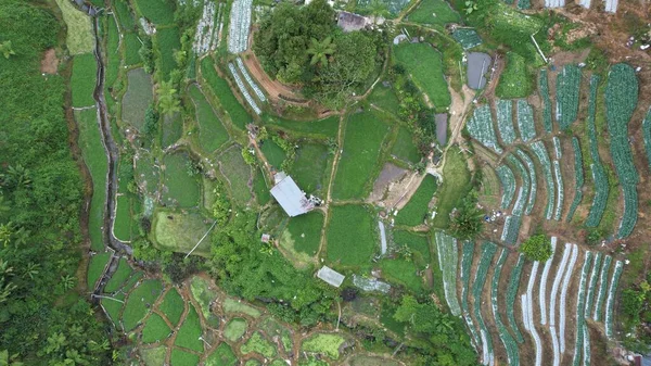 Cameron Highlands Pahang Malásia Maio 2022 Vista Geral Paisagem Distrito — Fotografia de Stock