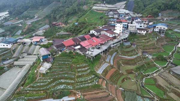 Cameron Highlands Pahang Malezya Mayıs 2022 Malezya Nın Cameron Highlands — Stok fotoğraf