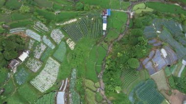 Cameron Highlands, Pahang Malezya 30 Mayıs 2022: Malezya 'nın Cameron Highlands Alanı içindeki Brinchang Bölgesinin Genel Manzarası