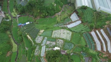 Cameron Highlands, Pahang Malezya 30 Mayıs 2022: Malezya 'nın Cameron Highlands Alanı içindeki Brinchang Bölgesinin Genel Manzarası