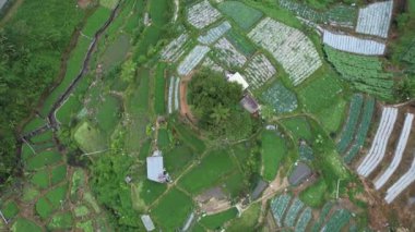 Cameron Highlands, Pahang Malezya 30 Mayıs 2022: Malezya 'nın Cameron Highlands Alanı içindeki Brinchang Bölgesinin Genel Manzarası
