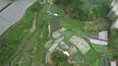 Cameron Highlands, Pahang Malezya 30 Mayıs 2022: Malezya 'nın Cameron Highlands Alanı içindeki Brinchang Bölgesinin Genel Manzarası