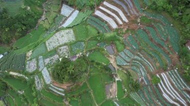 Cameron Highlands, Pahang Malezya 30 Mayıs 2022: Malezya 'nın Cameron Highlands Alanı içindeki Brinchang Bölgesinin Genel Manzarası