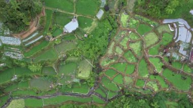 Cameron Highlands, Pahang Malezya 30 Mayıs 2022: Malezya 'nın Cameron Highlands Alanı içindeki Brinchang Bölgesinin Genel Manzarası