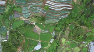 Cameron Highlands, Pahang Malezya 30 Mayıs 2022: Malezya 'nın Cameron Highlands Alanı içindeki Brinchang Bölgesinin Genel Manzarası