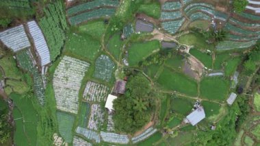 Cameron Highlands, Pahang Malezya 30 Mayıs 2022: Malezya 'nın Cameron Highlands Alanı içindeki Brinchang Bölgesinin Genel Manzarası