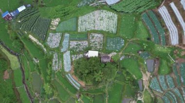 Cameron Highlands, Pahang Malezya 30 Mayıs 2022: Malezya 'nın Cameron Highlands Alanı içindeki Brinchang Bölgesinin Genel Manzarası