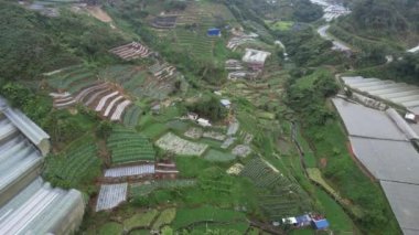 Cameron Highlands, Pahang Malezya 30 Mayıs 2022: Malezya 'nın Cameron Highlands Alanı içindeki Brinchang Bölgesinin Genel Manzarası