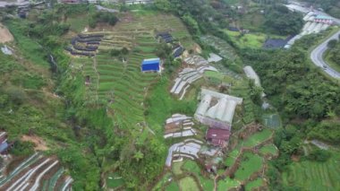 Cameron Highlands, Pahang Malezya 30 Mayıs 2022: Malezya 'nın Cameron Highlands Alanı içindeki Brinchang Bölgesinin Genel Manzarası