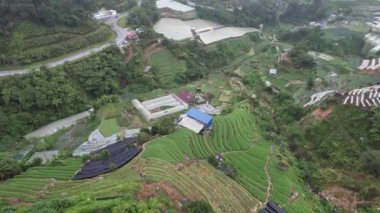 Cameron Highlands, Pahang Malezya 30 Mayıs 2022: Malezya 'nın Cameron Highlands Alanı içindeki Brinchang Bölgesinin Genel Manzarası