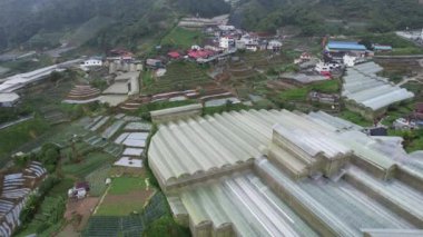 Cameron Highlands, Pahang Malezya 30 Mayıs 2022: Malezya 'nın Cameron Highlands Alanı içindeki Brinchang Bölgesinin Genel Manzarası