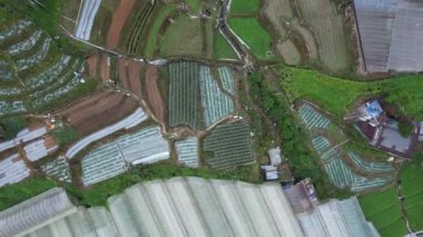 Cameron Highlands, Pahang Malezya 30 Mayıs 2022: Malezya 'nın Cameron Highlands Alanı içindeki Brinchang Bölgesinin Genel Manzarası