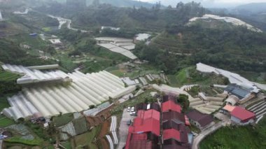 Cameron Highlands, Pahang Malezya 30 Mayıs 2022: Malezya 'nın Cameron Highlands Alanı içindeki Brinchang Bölgesinin Genel Manzarası