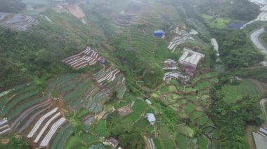 Cameron Highlands, Pahang Malezya 30 Mayıs 2022: Malezya 'nın Cameron Highlands Alanı içindeki Brinchang Bölgesinin Genel Manzarası